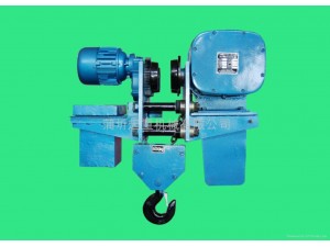 國外多選用此種結(jié)構(gòu)形式的電動葫蘆。