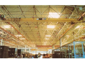 可以設(shè)計環(huán)行吊、手動單梁